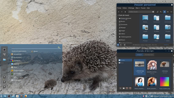 Thème Linux Destinée fond écran hérisson